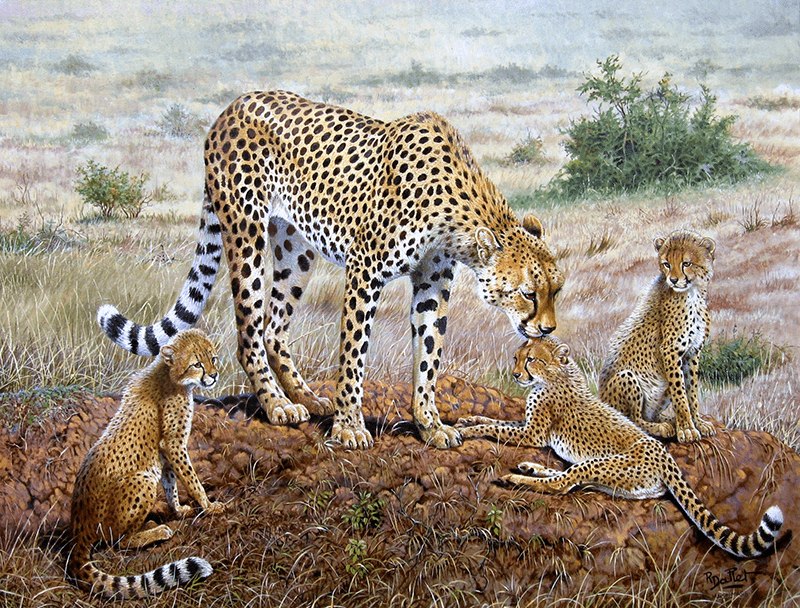 03- Toile Guépard (116x89)