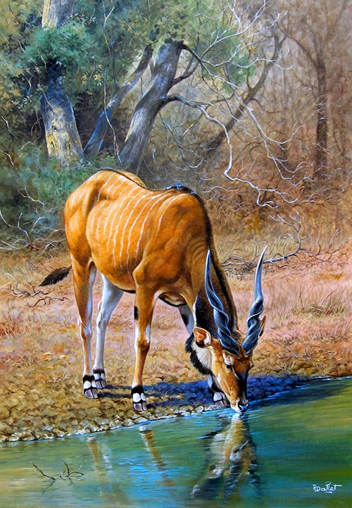 10- Gazelle Girafe ou Gerenuk (75x60)